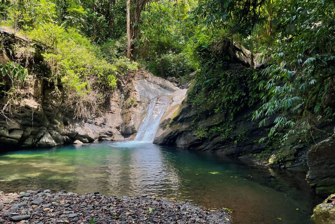 JUNGLE DREAMS FARM: WHERE NATURE MEETS SERENITY – 20 ACRES